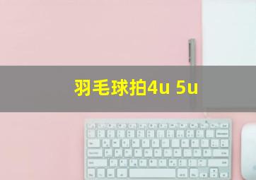 羽毛球拍4u 5u